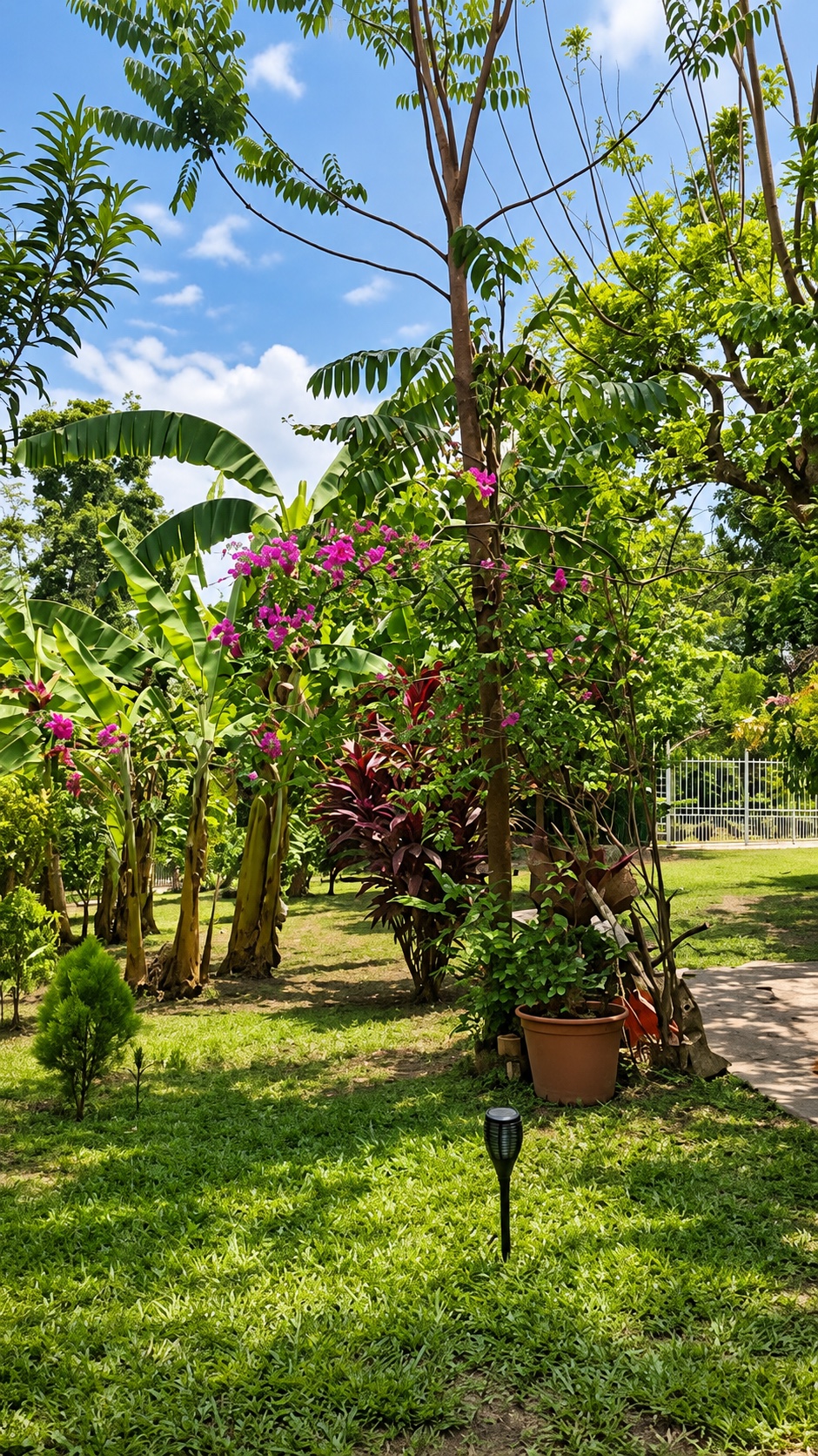 Vegetación y flores en una vista vertical del proyecto